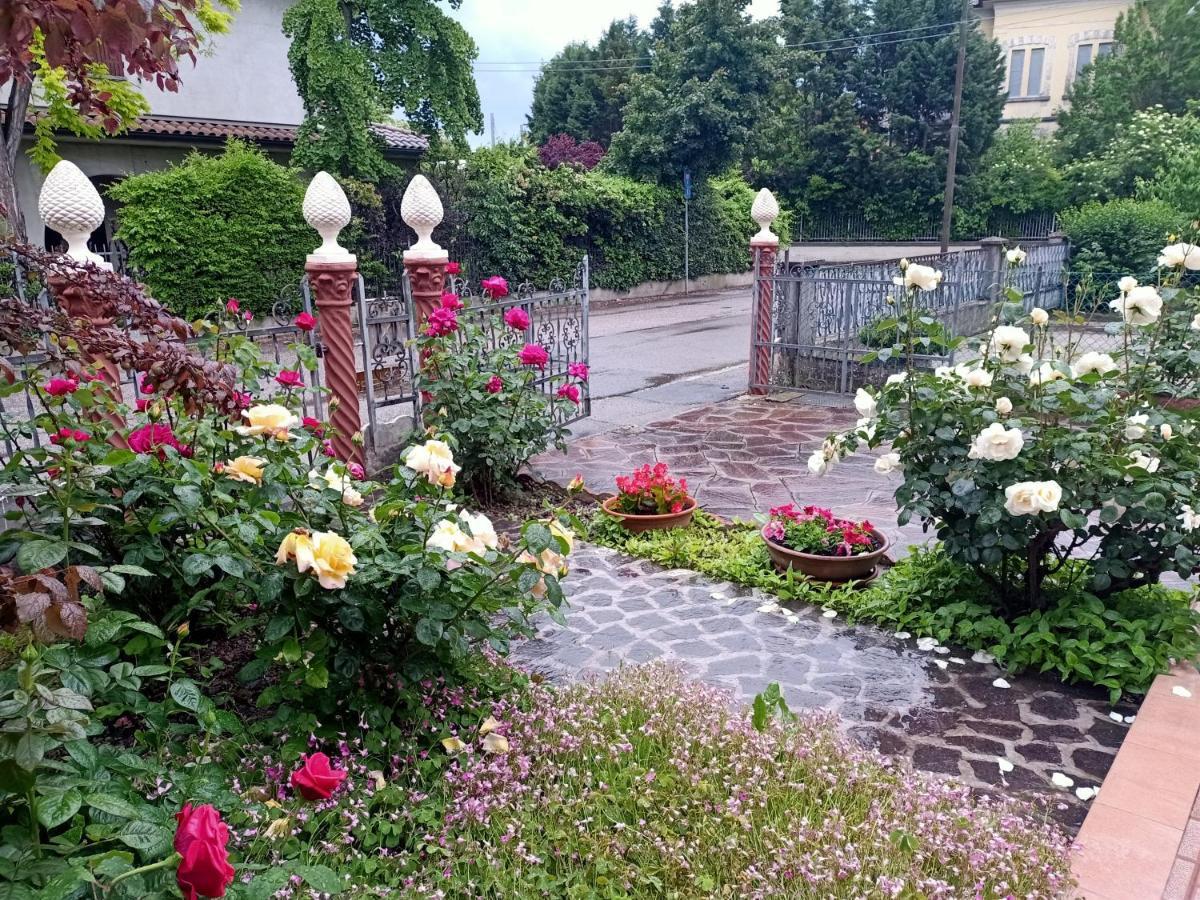 Lily - Storie Del Bosco - Bed and Breakfast San Felice sul Panaro Exteriör bild
