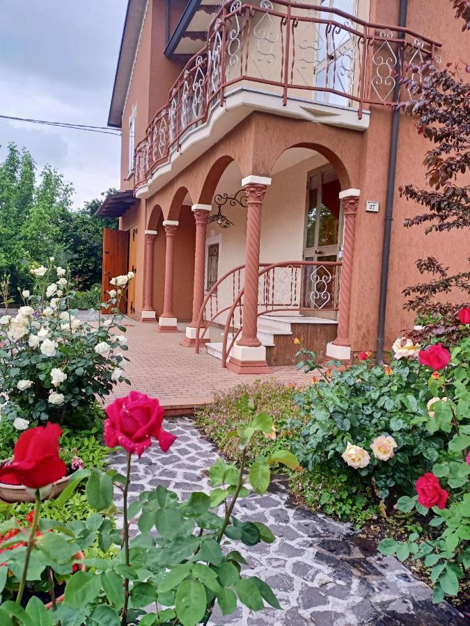 Lily - Storie Del Bosco - Bed and Breakfast San Felice sul Panaro Exteriör bild